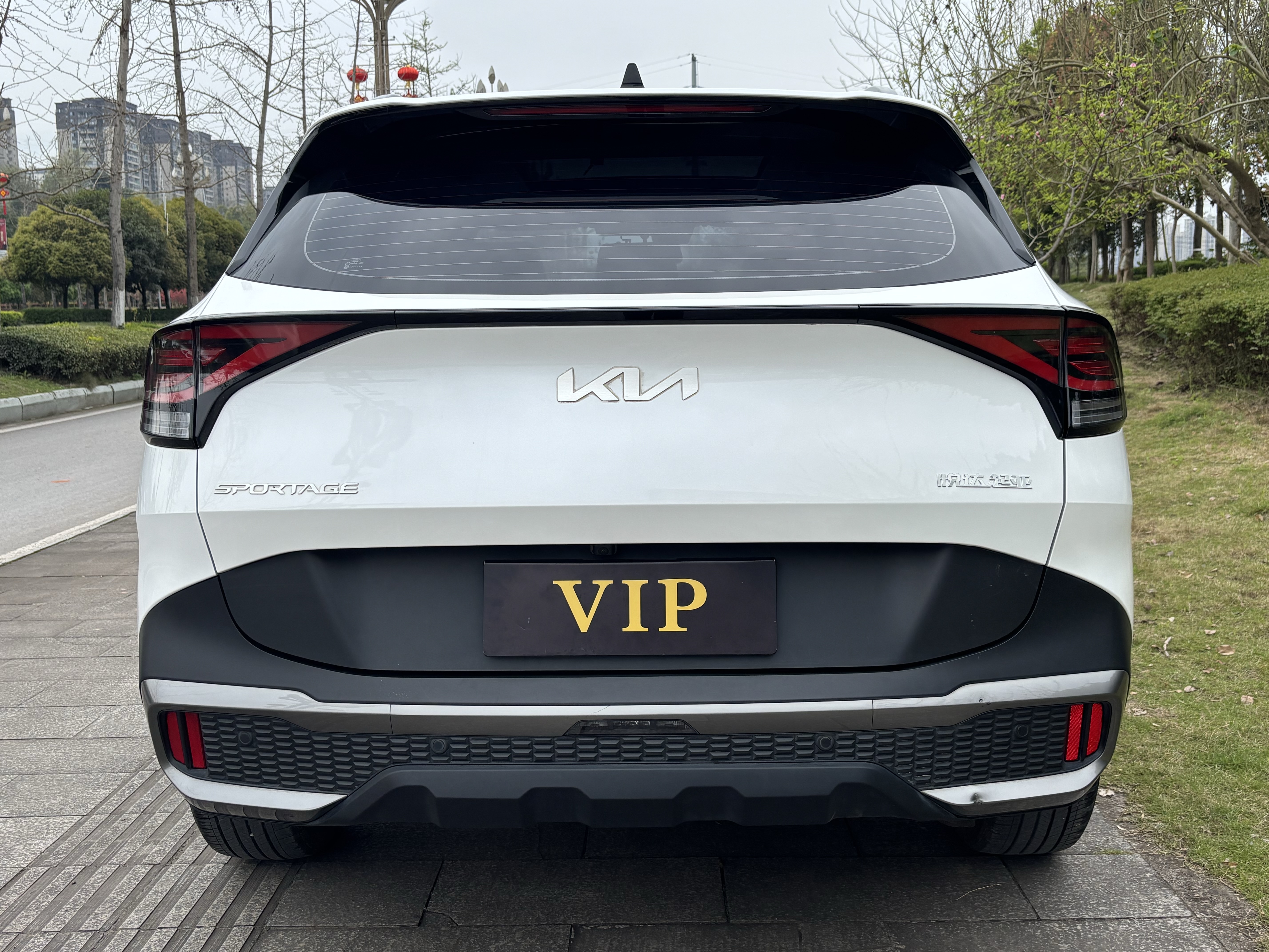 起亚 狮铂拓界 2024 汽车图片 #9