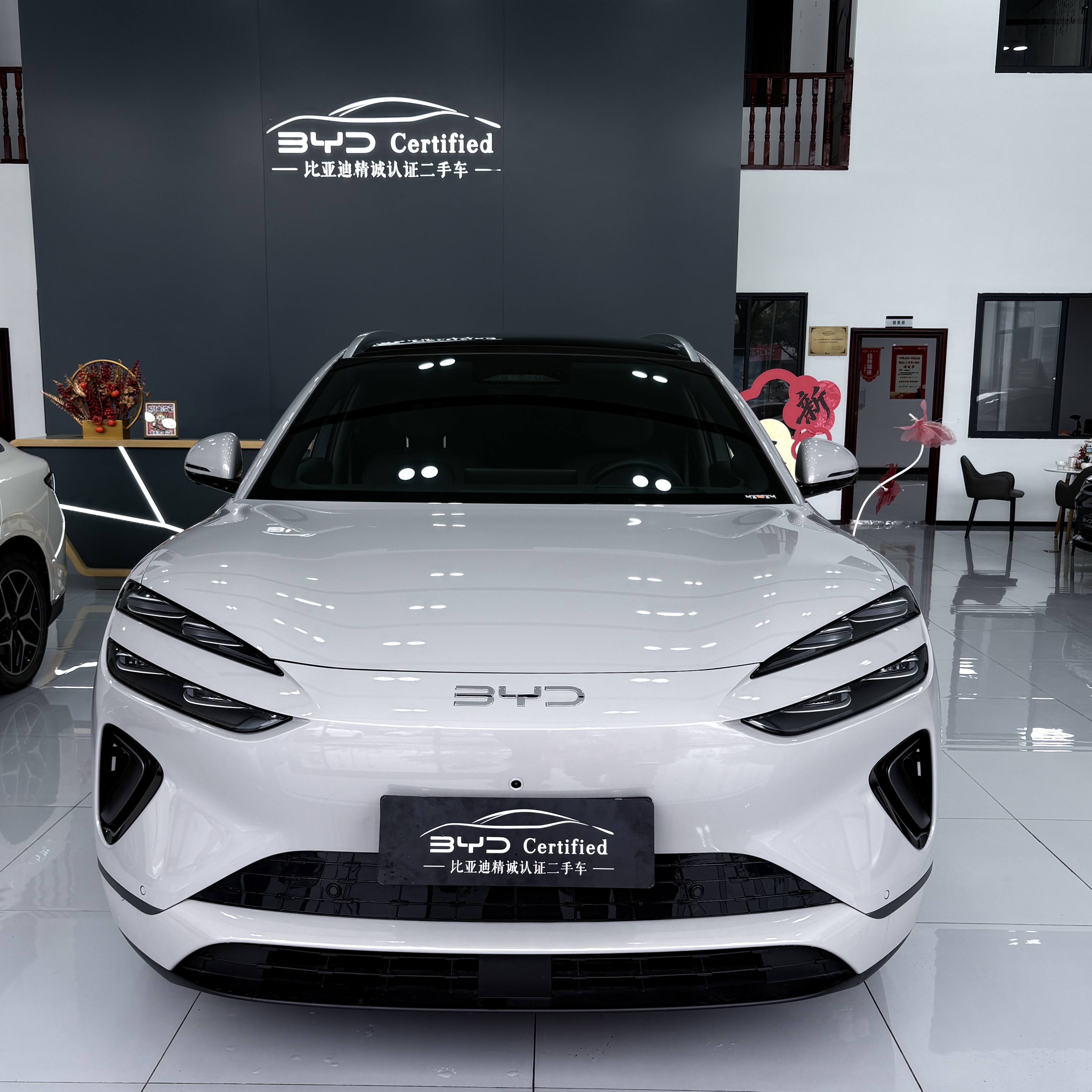 BYD Sea Lion 06 New Energy 2025 car image #9