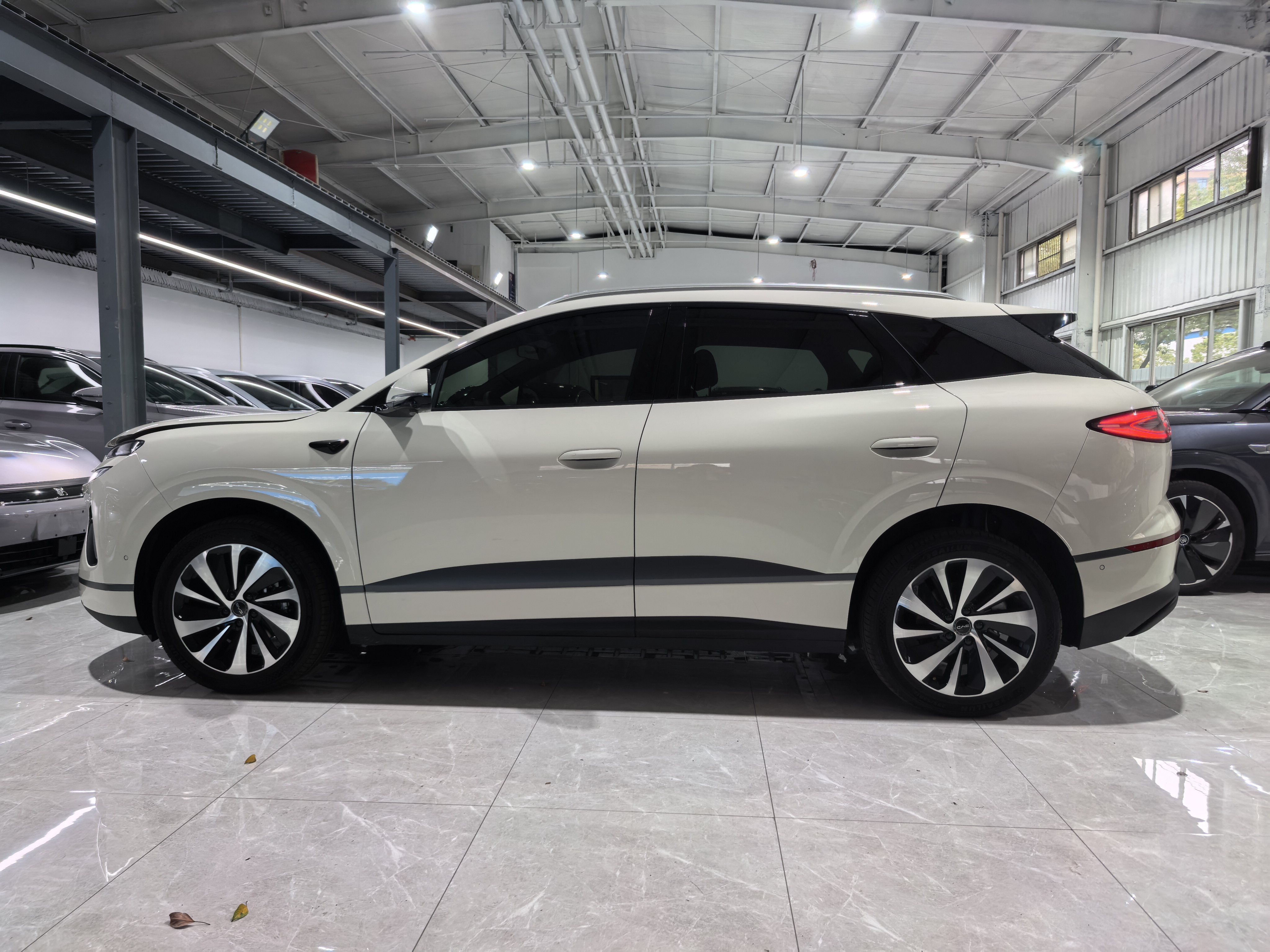 BYD Sea Lion 06 New Energy 2025 car image #9