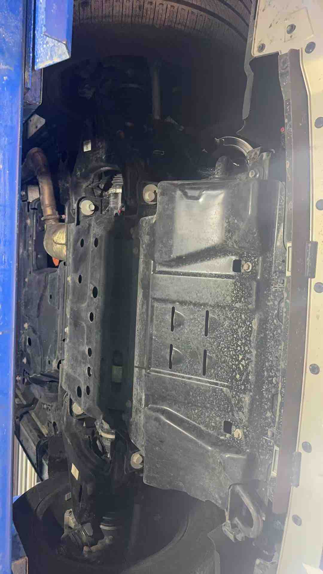 Tank 500 New Energy 2025 car image #9