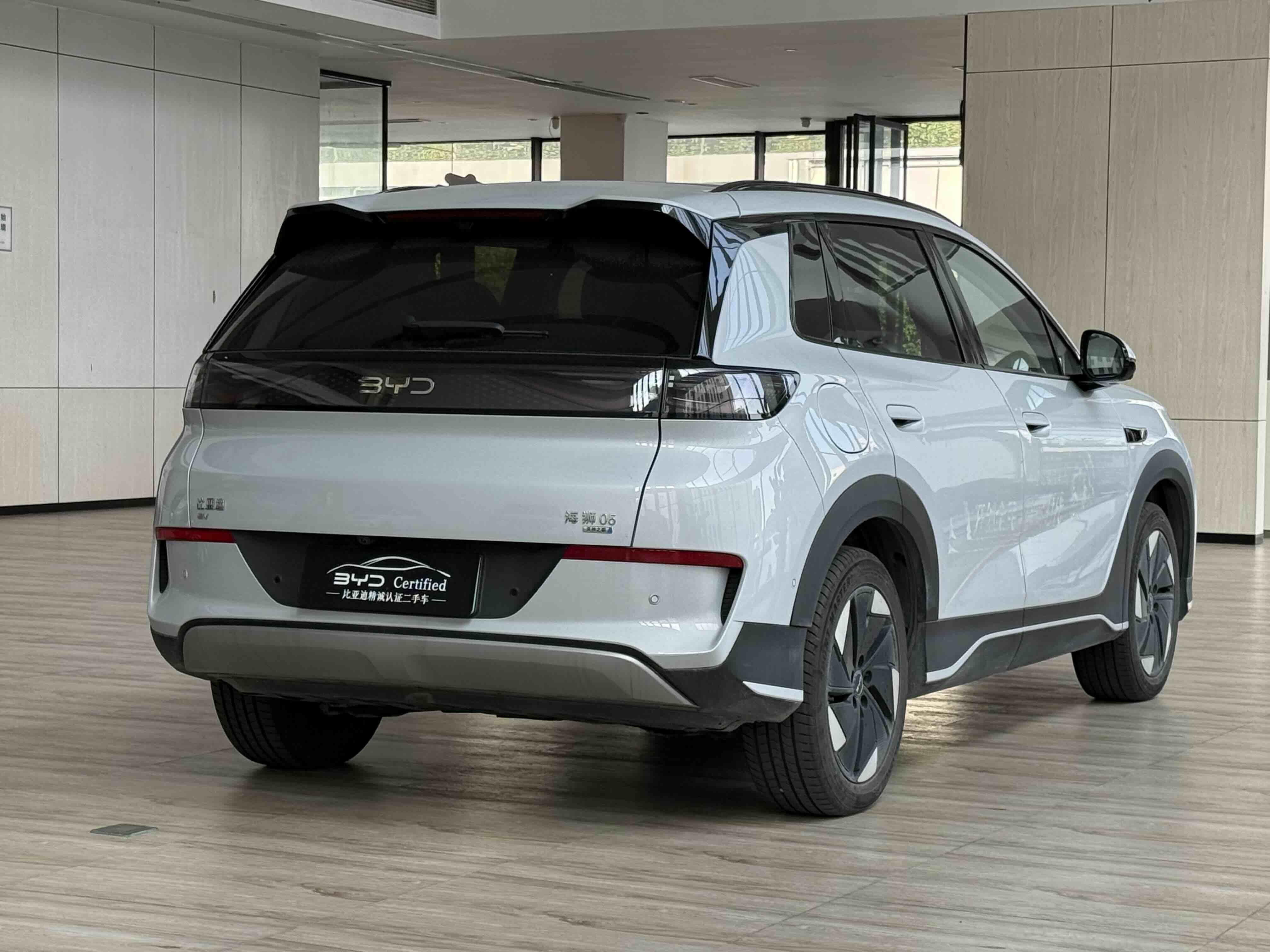 BYD Sea Lion 05 EV 2025 car image #9