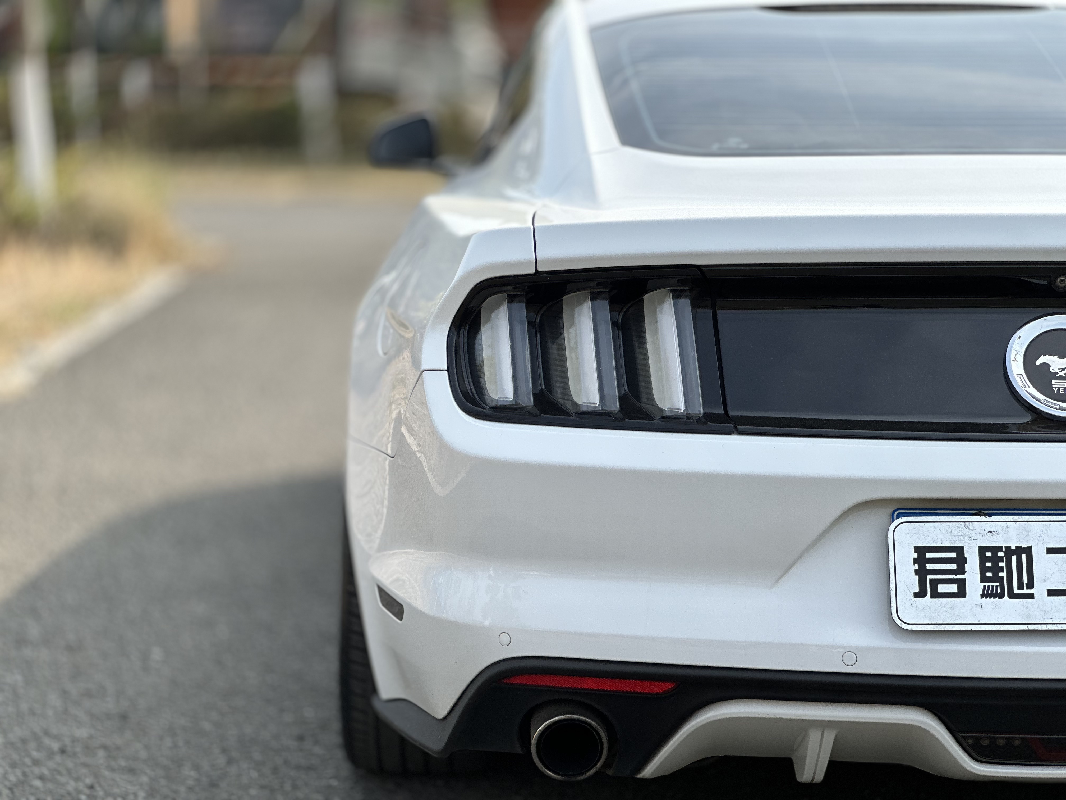 Ford Mustang 2015 car image #9