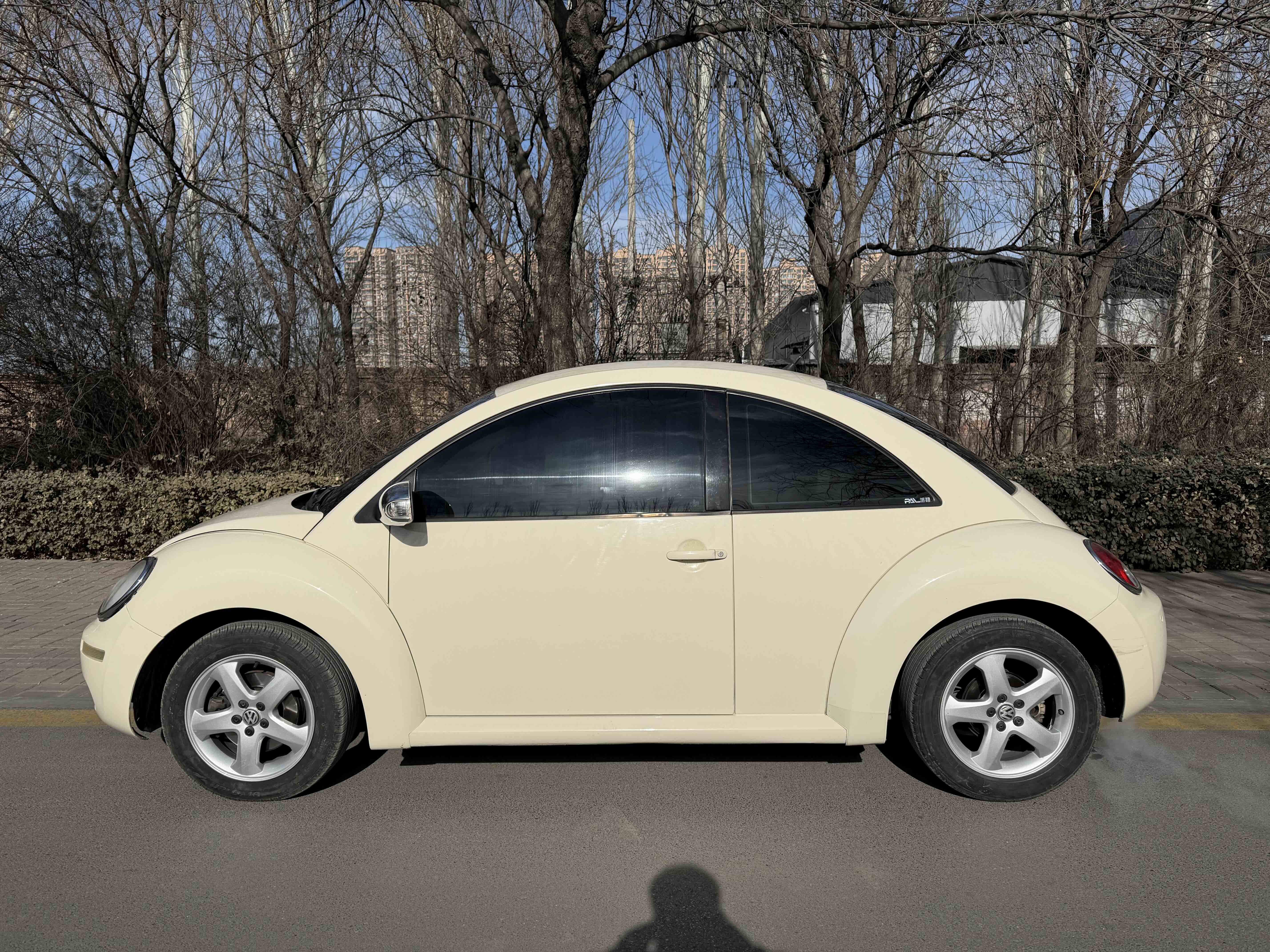 Volkswagen Beetle 2010 immagine di auto #9