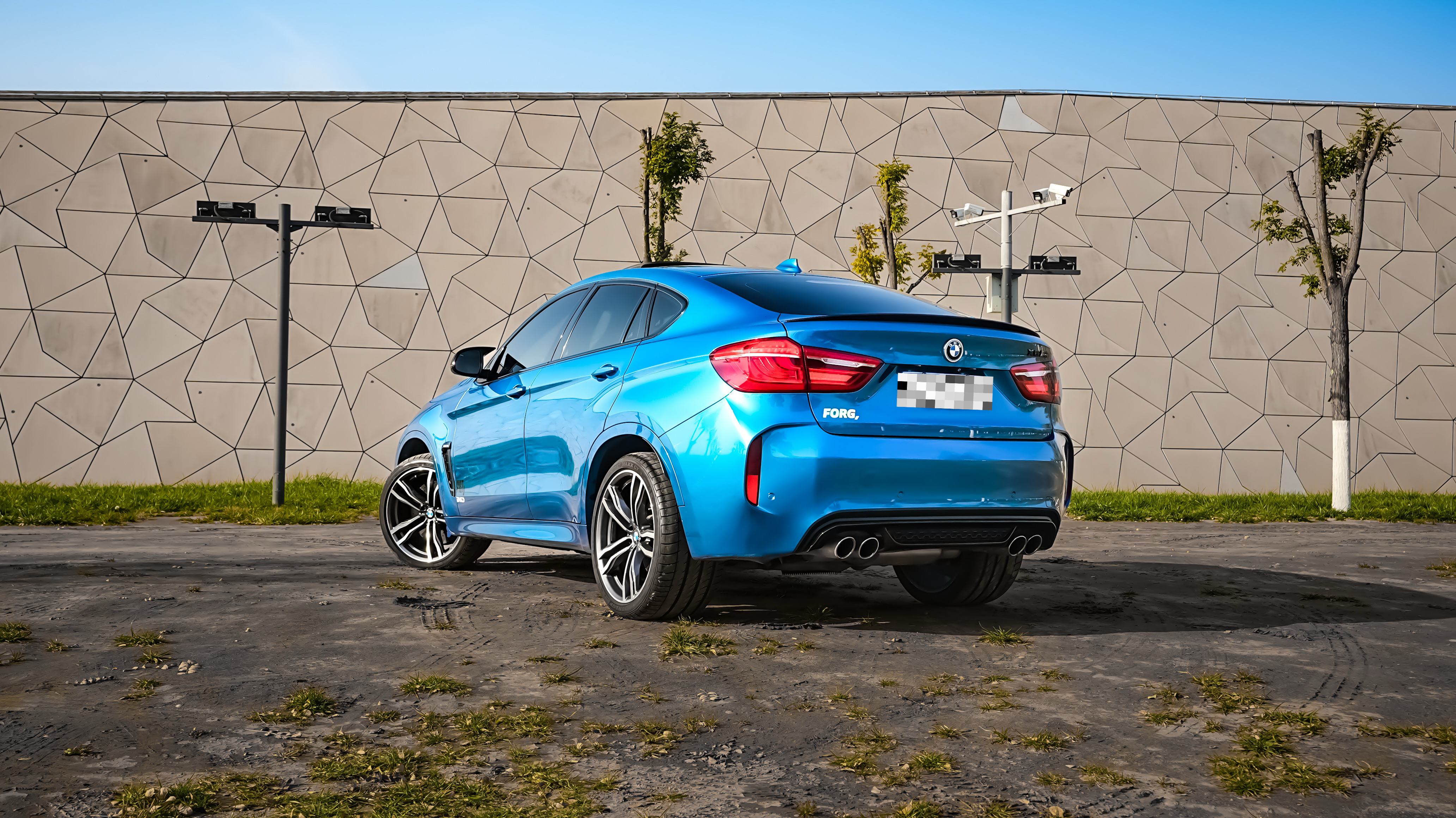 BMW X6 M 2016 car image #9