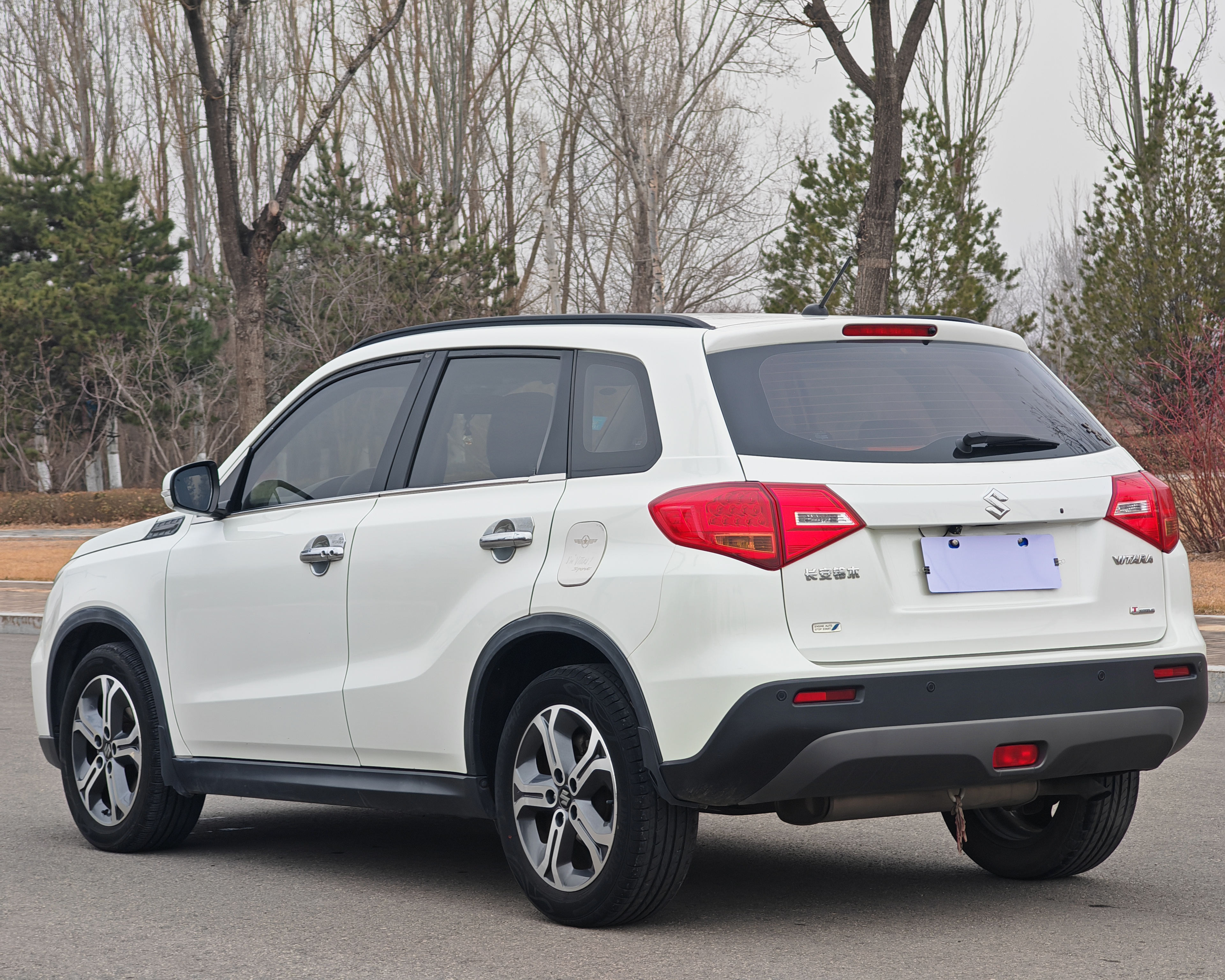 Suzuki Vitara 2018 изображение автомобиля #9