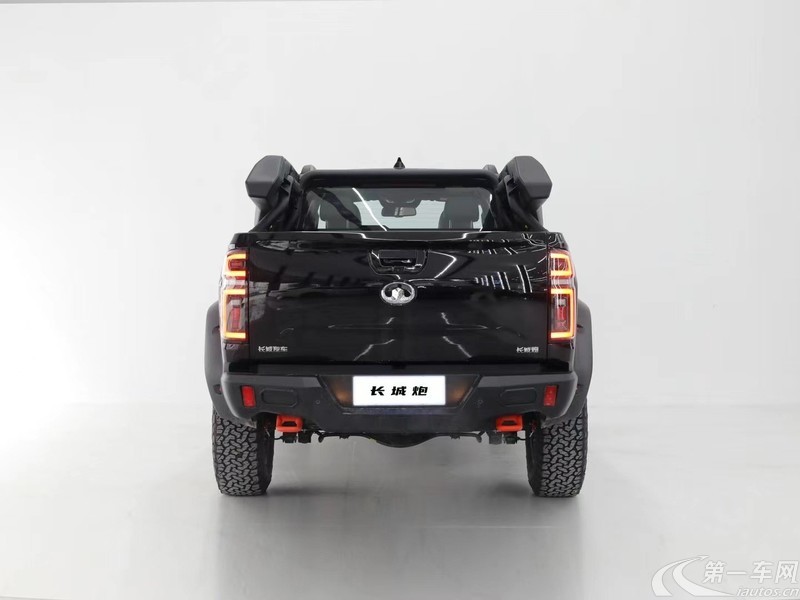 Great Wall Poer EV 2023 car image #9