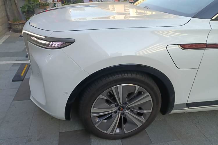 HongQi E-HS9 2023 car image #9