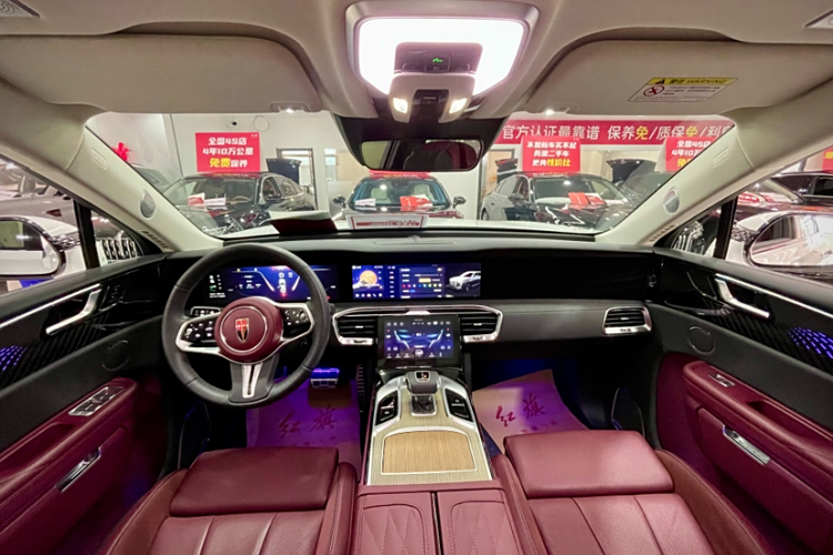 HongQi E-HS9 2024 car image #9