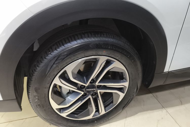 Haval Fierce Dragon 2024 #9 Haval Fierce Dragon 2024 car image #9