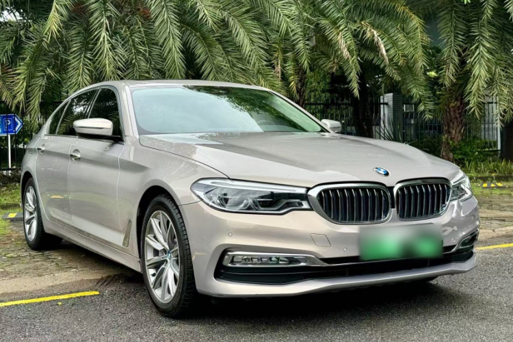 BMW 5 Series New Energy 2018 car image #9