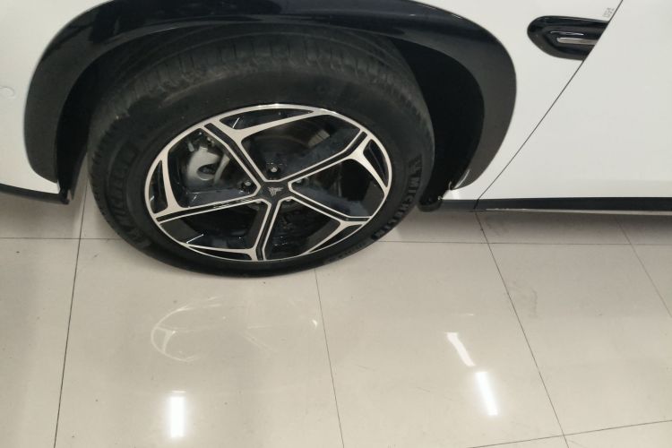 Neta L 2024 imagen de coche #9