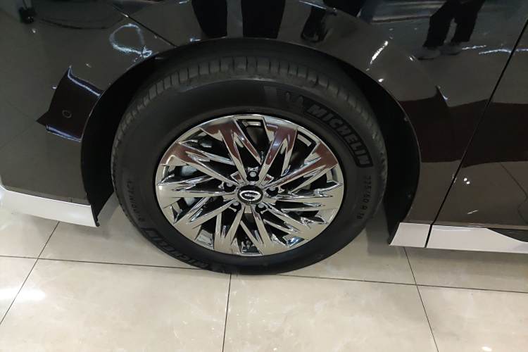 GAC Trumpchi Xiangwang M8 2025 car image #9