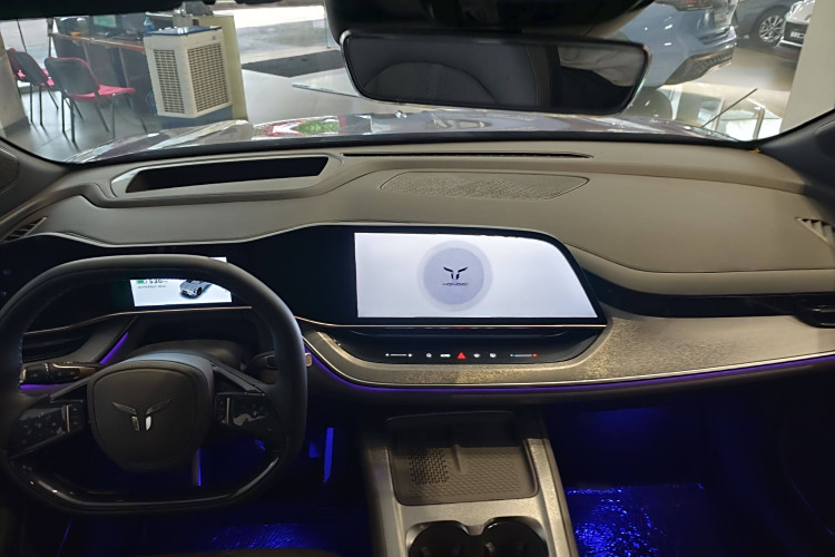 HongQi TianGong 08 #9 HongQi TianGong 08 car image #9