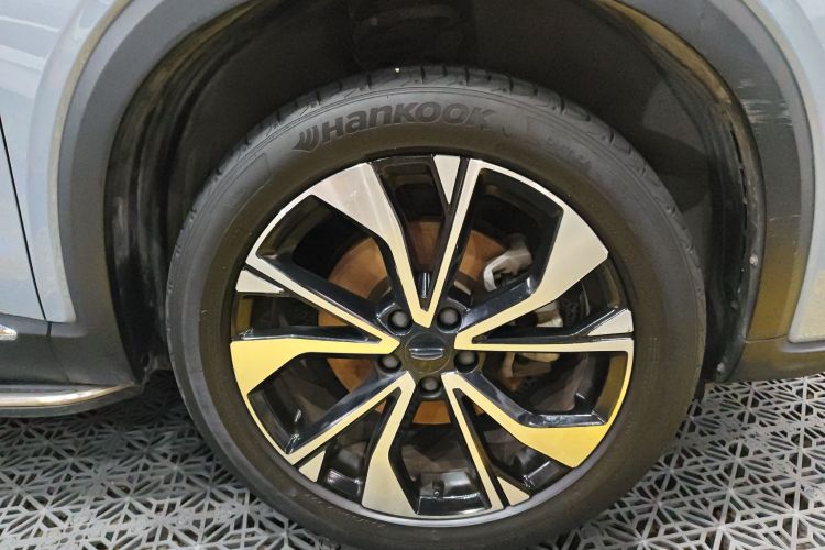 GEELY Tugella S 2021 car image #9