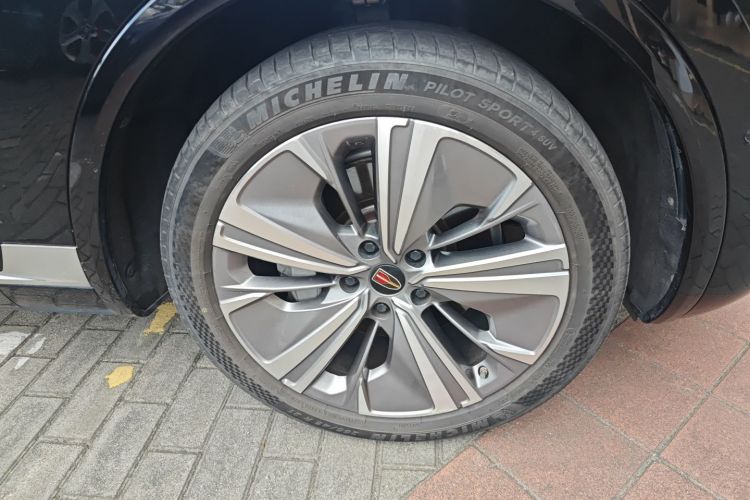 HongQi E-HS9 2022 car image #9