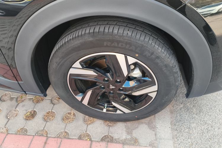 Neta X 2024 imagem de carro #9