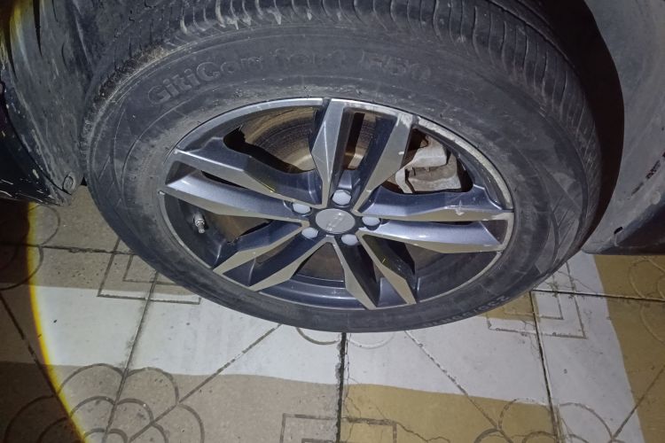 GEELY Tugella New Energy 2019 car image #9