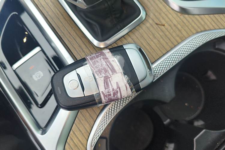 HongQi E-HS9 2023 immagine di auto #9