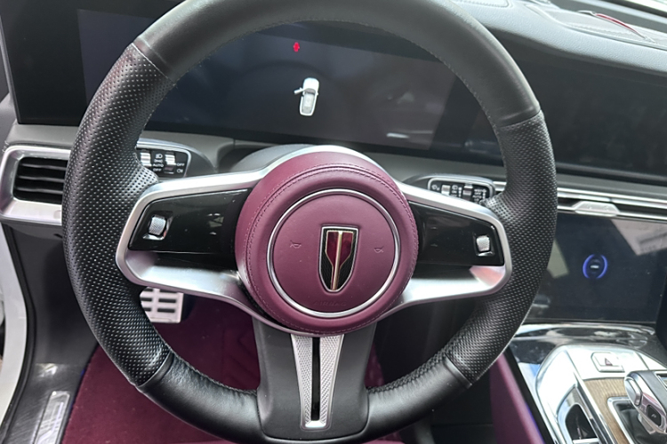 HongQi E-HS9 2021 immagine di auto #9