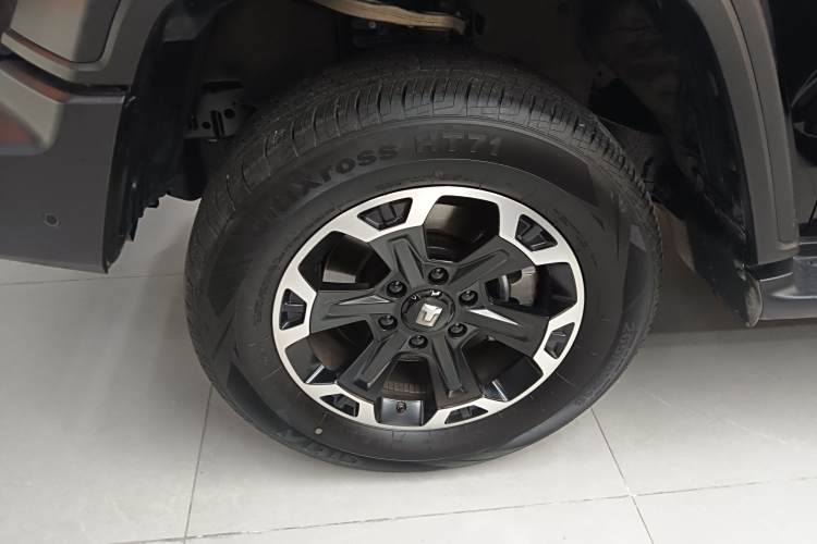 Tank 300 New Energy 2025 car image #9