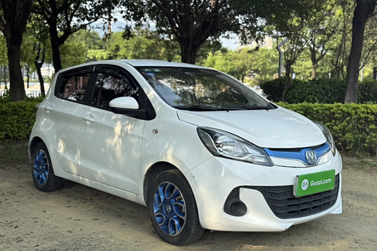 Changan BenBen EV 2019 car image #9