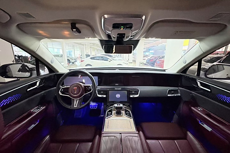 HongQi E-HS9 2021 immagine di auto #9