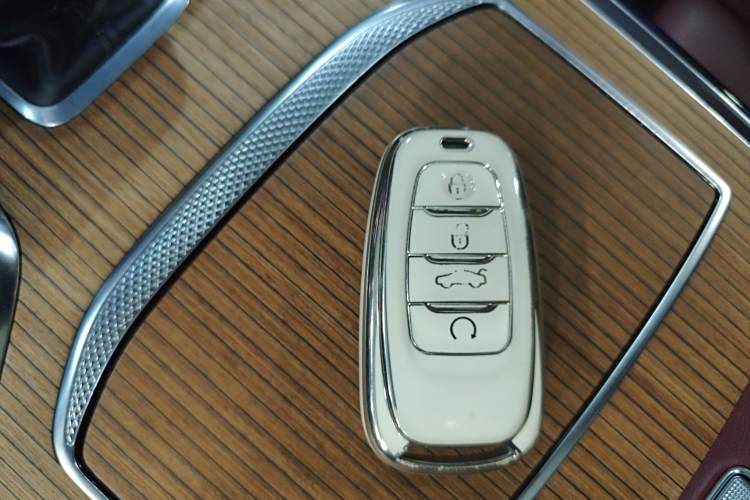 HongQi E-HS9 2021 immagine di auto #9