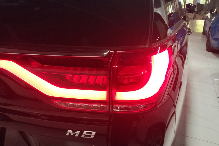 GAC Trumpchi M8 2023 #9 GAC Trumpchi M8 2023 car image #9