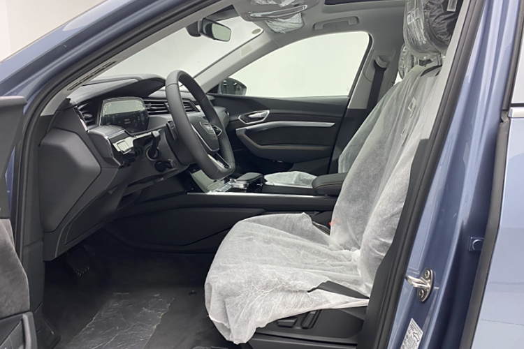 Audi e-tron car image #9