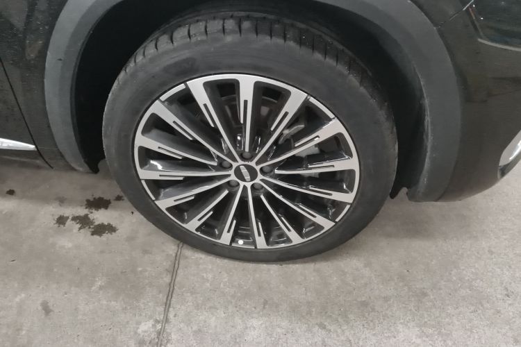 GEELY Tugella 2024 car image #9