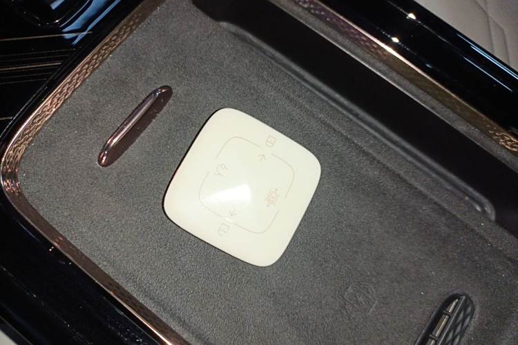 极氪 极氪MIX 2024 汽车图片 #9