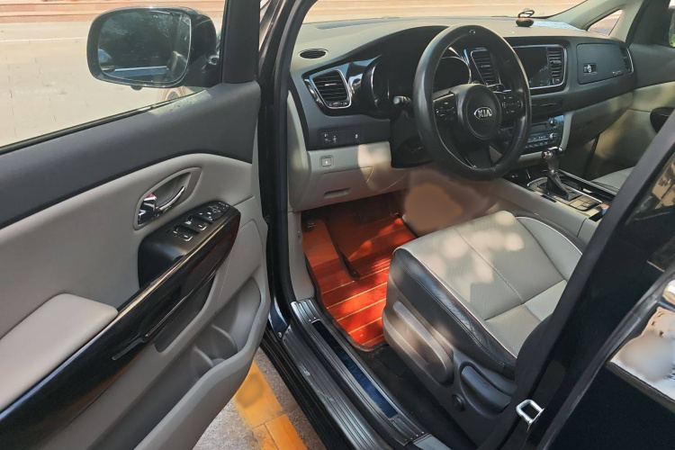 Kia Carnival (Imported) 2016 car image #9