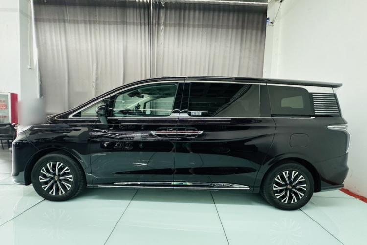 HongQi HQ9 PHEV 2024 car image #9