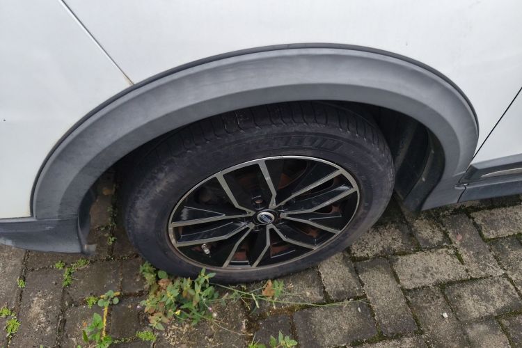 SWM斯威汽车 SWM斯威大虎 2017 #9 SWM斯威汽车 SWM斯威大虎 2017 汽车图片 #9