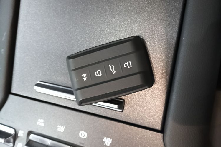 Tank 300 New Energy 2025 car image #9