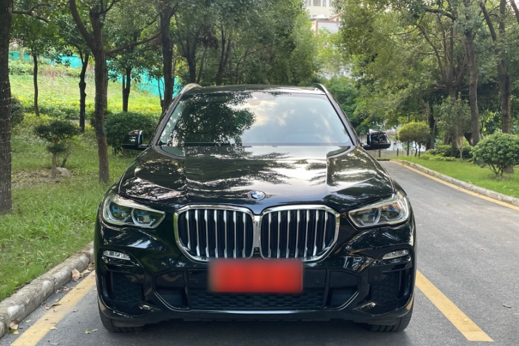 BMW X5 New Energy (Imported) 2021 car image #9