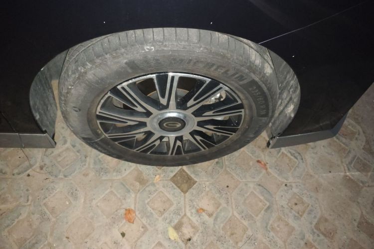 GAC Trumpchi E9 2023 #9 GAC Trumpchi E9 2023 car image #9