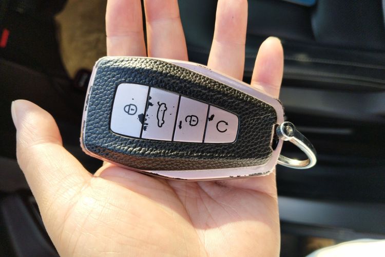 GEELY OkavangoR7 2021 car image #9