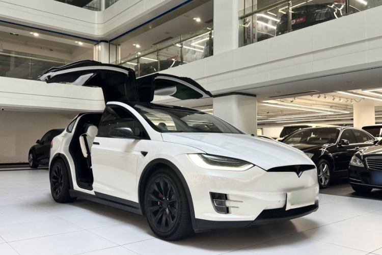 Tesla Model X 2019 car image #9