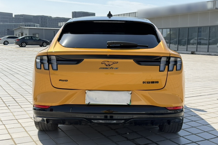 Ford Mustang Mach-E 2023 car image #9