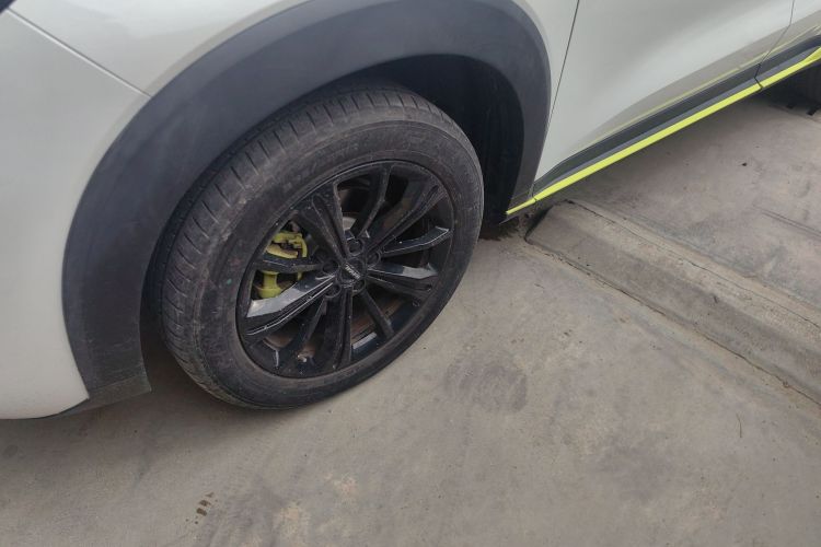 Haval H6S 2022 immagine di auto #9