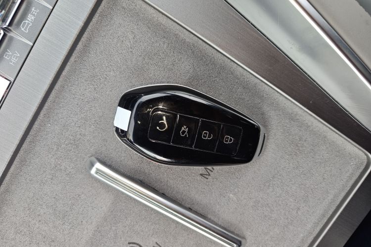 Denza N9 2025 car image #9