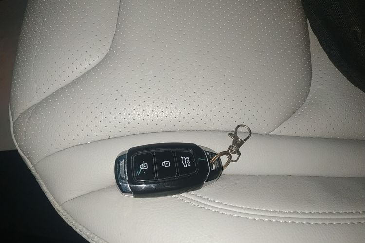 HongQi E-HS3 2019 car image #9