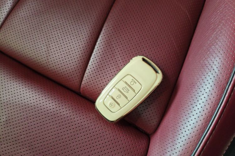 HongQi E-HS9 2021 immagine di auto #9