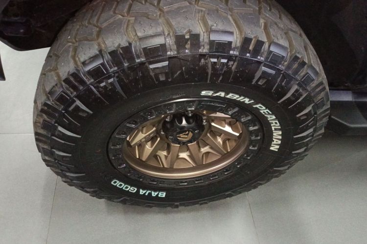 福特 福特烈马 2025 #9 福特 福特烈马 2025 汽车图片 #9