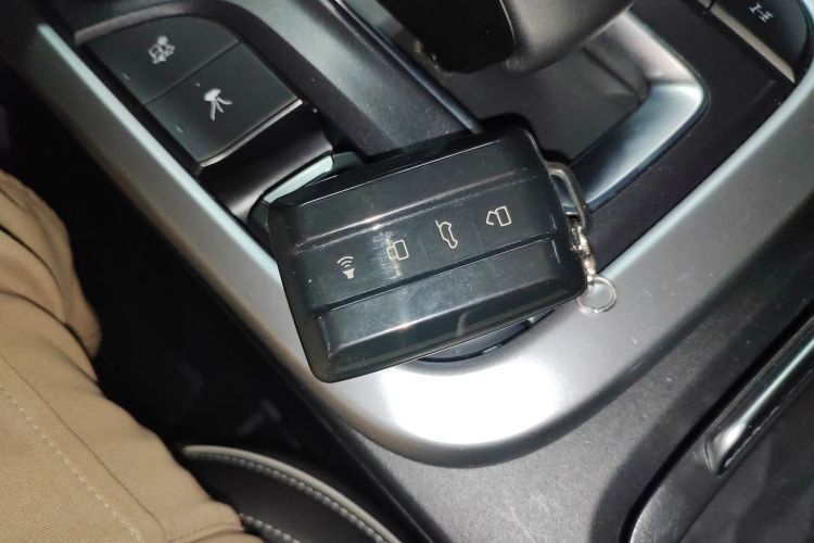 Tank 300 New Energy 2024 imagem de carro #9