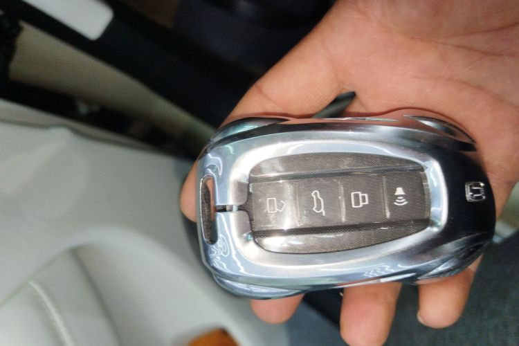 Tank 300 New Energy 2025 #9 Tank 300 New Energy 2025 car image #9