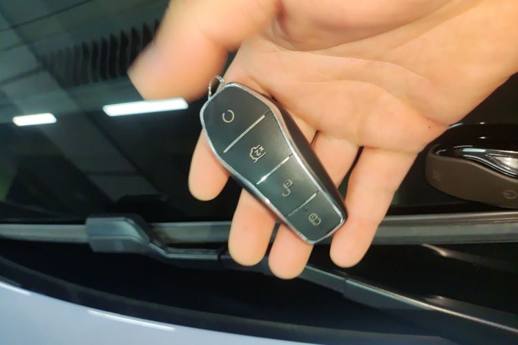 BYD Sea Lion 07 EV 2024 car image #9