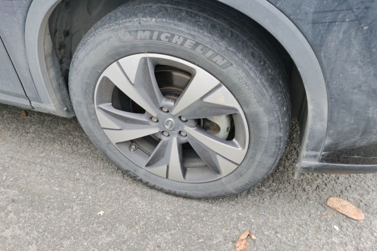 GAC Trumpchi GS4 New Energy 2021 car image #9