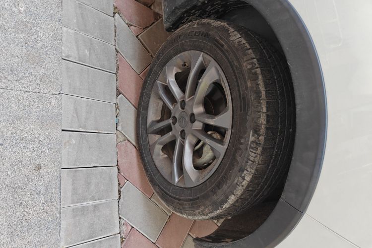 睿蓝汽车 枫叶30X 2021 汽车图片 #9